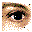 eye.gif (449 bytes)