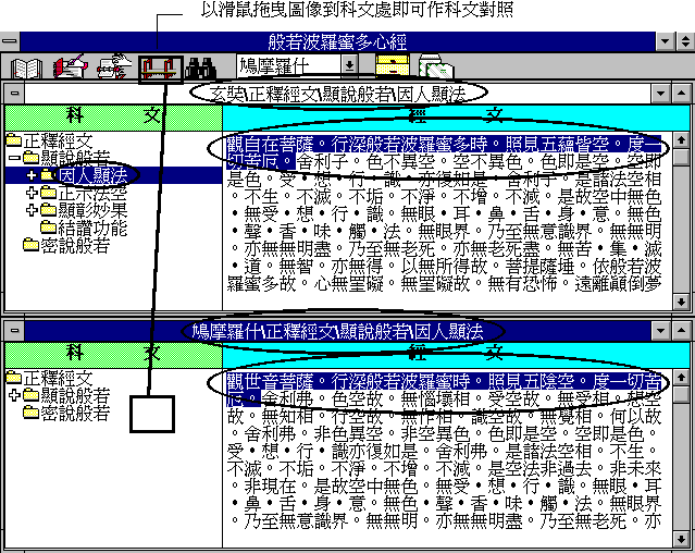 P媺